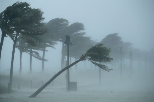 Hurricane Preparedness
